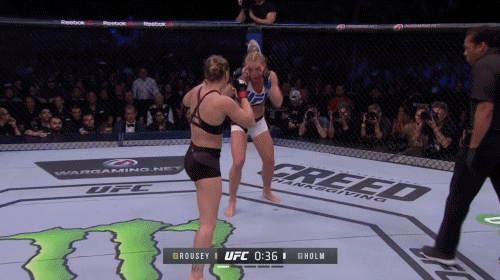 rousey_holm_distance.gif